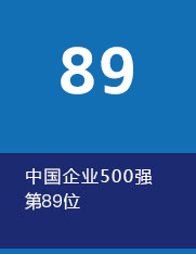 W020251201521188954890