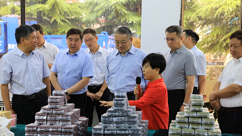 k豆钱包官方网站 - kdpay钱包