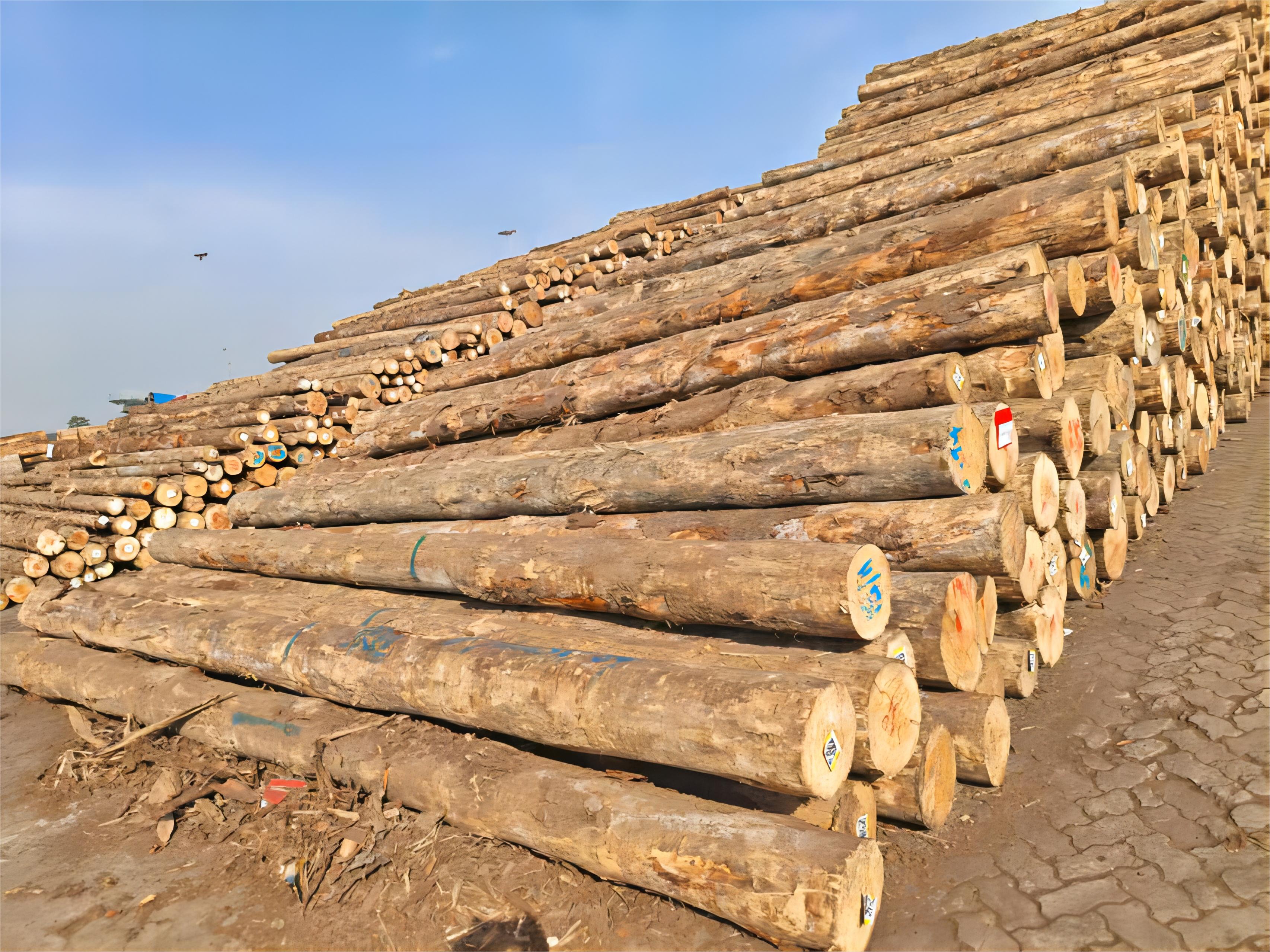 k豆钱包官方网站 - kdpay钱包