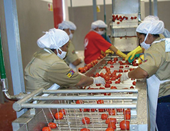 W020141125599621276309